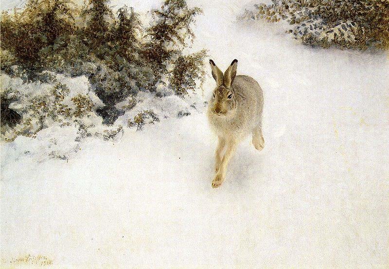 bruno liljefors Winter Hare